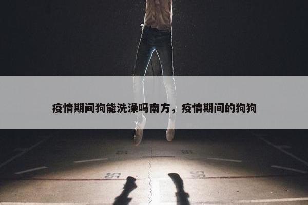 疫情期间狗能洗澡吗南方，疫情期间的狗狗