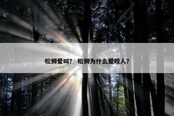 松狮爱叫？ 松狮为什么爱咬人？