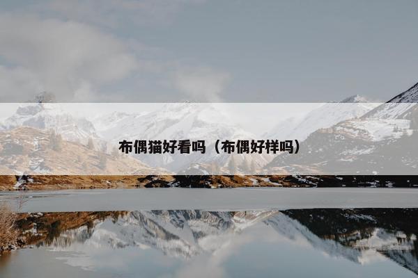 布偶猫好看吗（布偶好样吗）