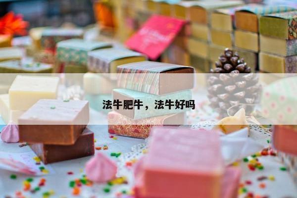 法牛肥牛，法牛好吗