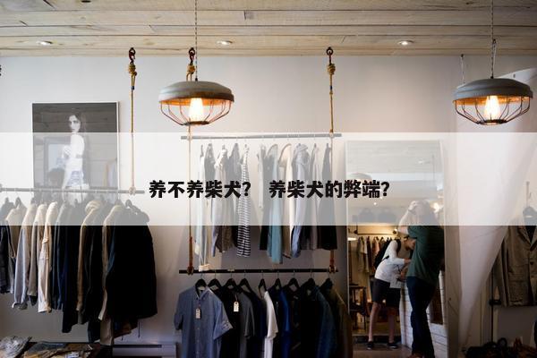 养不养柴犬？ 养柴犬的弊端？