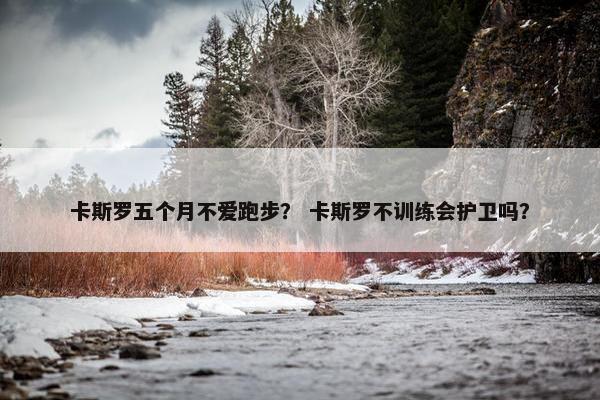 卡斯罗五个月不爱跑步？ 卡斯罗不训练会护卫吗？