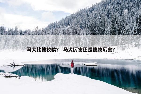 马犬比德牧精？ 马犬厉害还是德牧厉害？