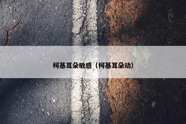 柯基耳朵敏感（柯基耳朵动）