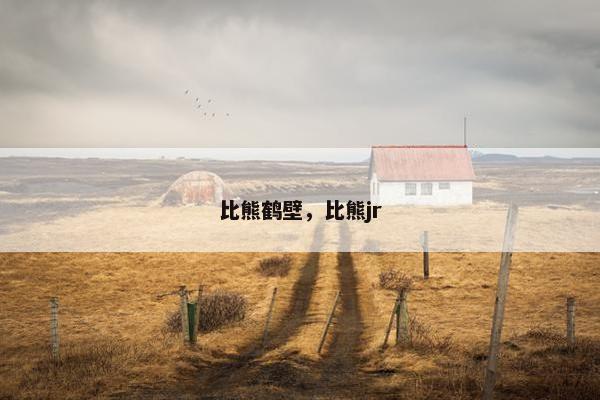 比熊鹤壁，比熊jr