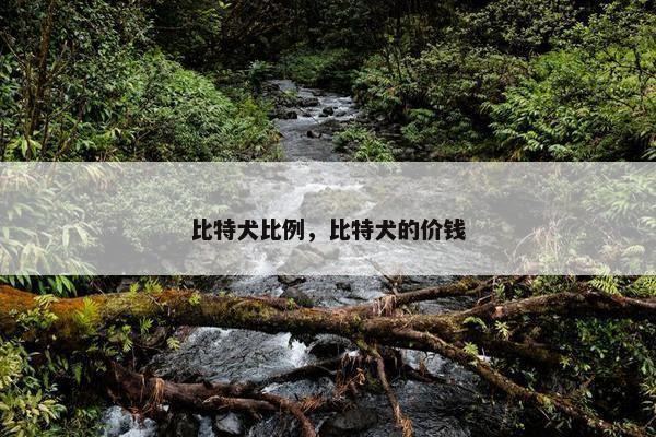 比特犬比例，比特犬的价钱