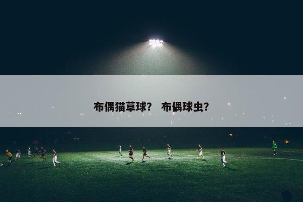 布偶猫草球？ 布偶球虫？
