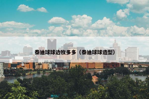 泰迪球球边牧多多（泰迪球球造型）