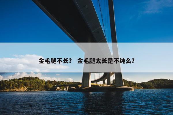 金毛腿不长？ 金毛腿太长是不纯么？