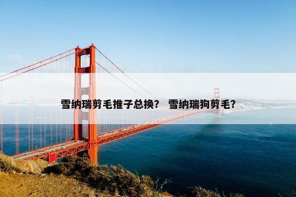 雪纳瑞剪毛推子总换？ 雪纳瑞狗剪毛？