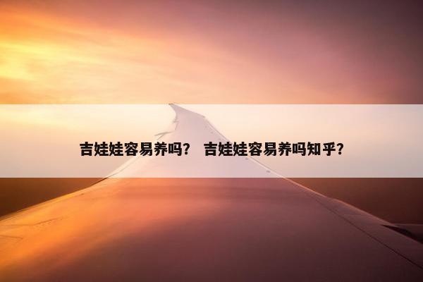 吉娃娃容易养吗？ 吉娃娃容易养吗知乎？