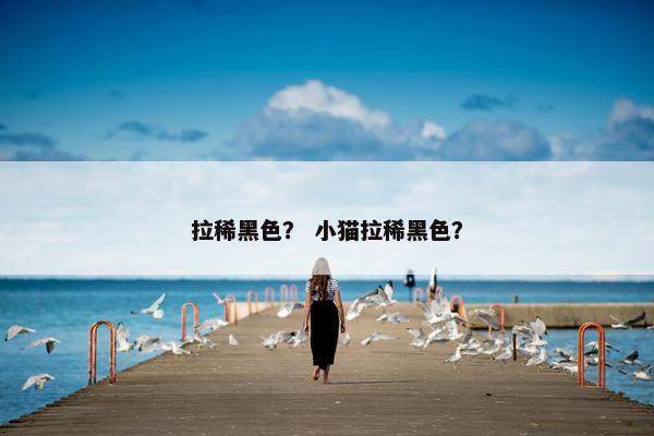 拉稀黑色？ 小猫拉稀黑色？