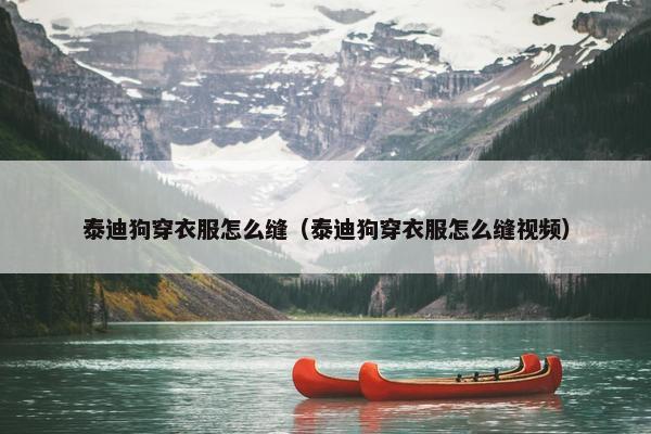 泰迪狗穿衣服怎么缝（泰迪狗穿衣服怎么缝视频）