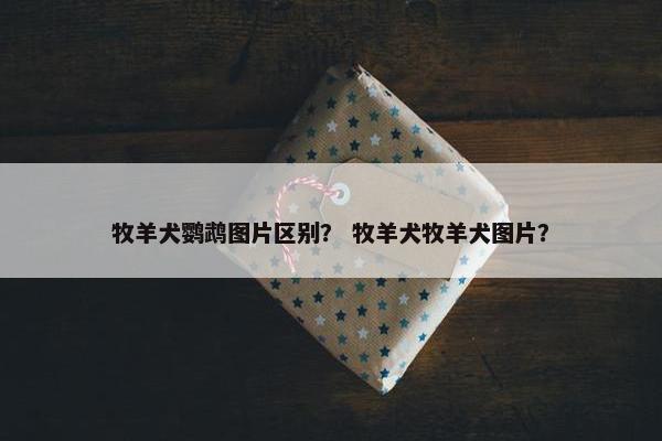 牧羊犬鹦鹉图片区别？ 牧羊犬牧羊犬图片？