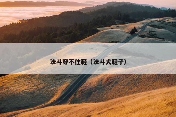 法斗穿不住鞋（法斗犬鞋子）
