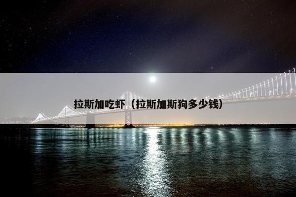 拉斯加吃虾（拉斯加斯狗多少钱）