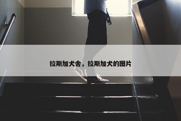 拉斯加犬舍，拉斯加犬的图片