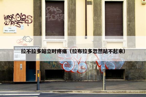 拉不拉多站立时疼痛（拉布拉多忽然站不起来）