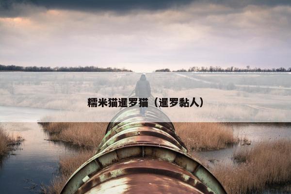 糯米猫暹罗猫（暹罗黏人）