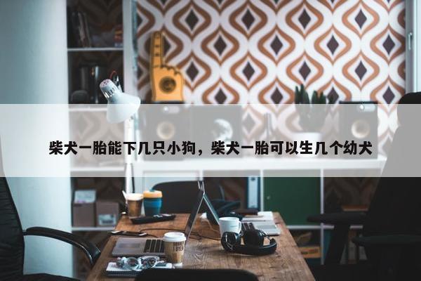 柴犬一胎能下几只小狗，柴犬一胎可以生几个幼犬