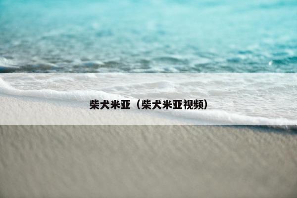 柴犬米亚（柴犬米亚视频）