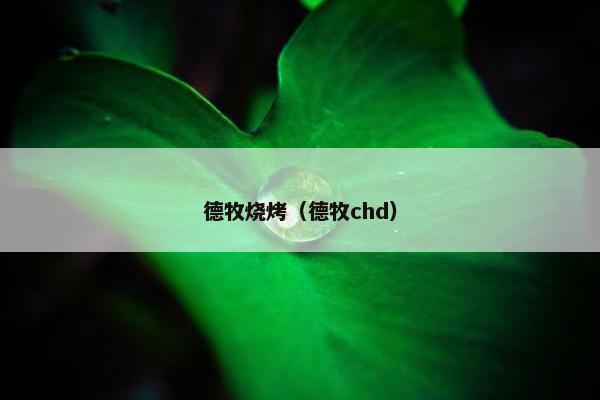 德牧烧烤（德牧chd）