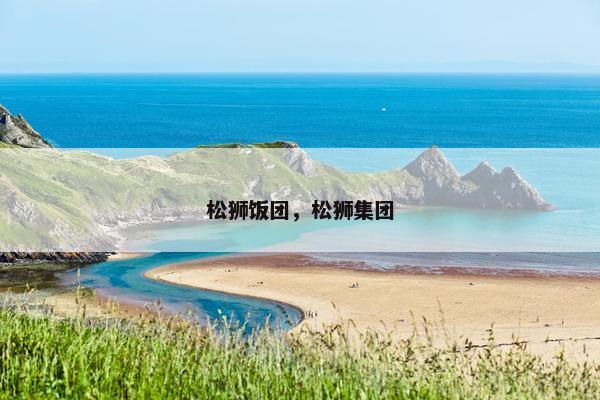 松狮饭团，松狮集团