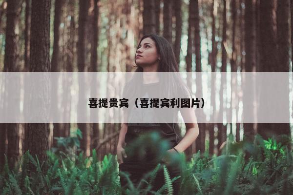 喜提贵宾（喜提宾利图片）