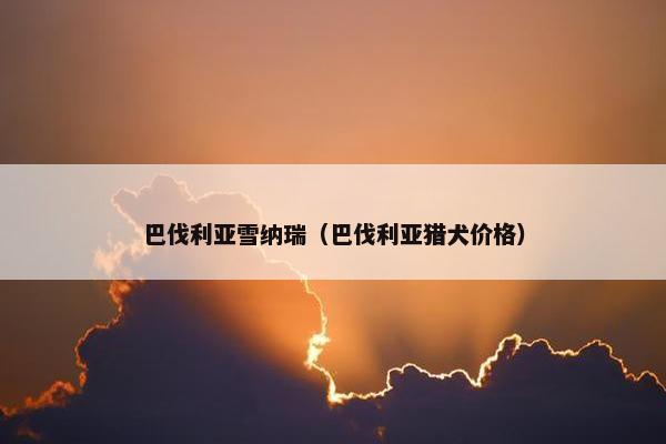 巴伐利亚雪纳瑞（巴伐利亚猎犬价格）