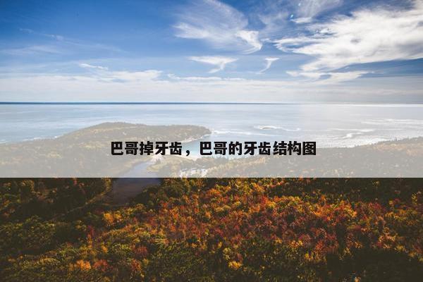 巴哥掉牙齿，巴哥的牙齿结构图