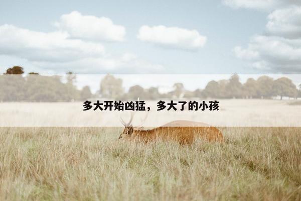 多大开始凶猛，多大了的小孩