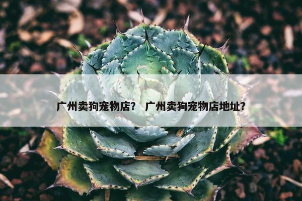 广州卖狗宠物店？ 广州卖狗宠物店地址？