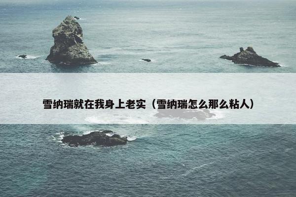 雪纳瑞就在我身上老实（雪纳瑞怎么那么粘人）