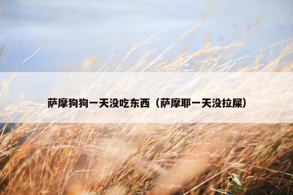 萨摩狗狗一天没吃东西（萨摩耶一天没拉屎）