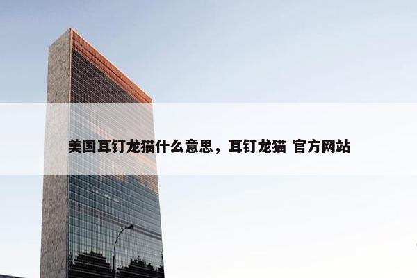 美国耳钉龙猫什么意思，耳钉龙猫 官方网站