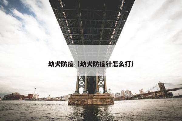 幼犬防疫（幼犬防疫针怎么打）
