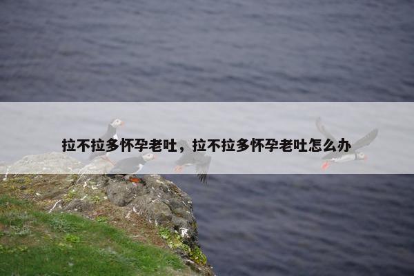 拉不拉多怀孕老吐，拉不拉多怀孕老吐怎么办
