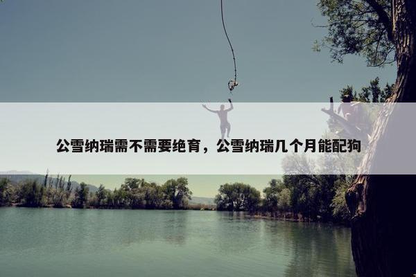 公雪纳瑞需不需要绝育，公雪纳瑞几个月能配狗