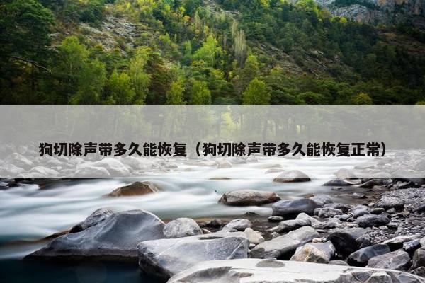 狗切除声带多久能恢复（狗切除声带多久能恢复正常）