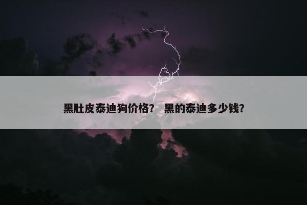 黑肚皮泰迪狗价格？ 黑的泰迪多少钱？