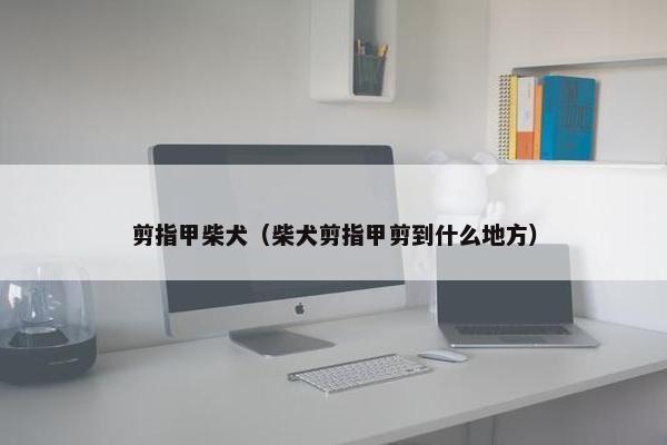 剪指甲柴犬（柴犬剪指甲剪到什么地方）