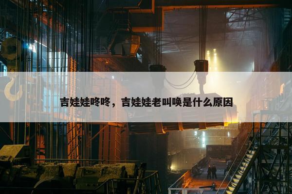 吉娃娃咚咚，吉娃娃老叫唤是什么原因