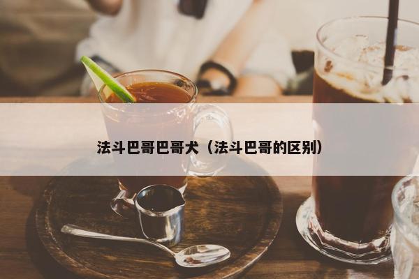 法斗巴哥巴哥犬（法斗巴哥的区别）