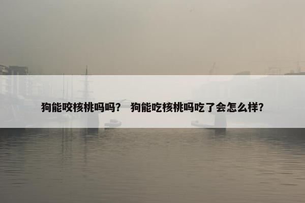 狗能咬核桃吗吗？ 狗能吃核桃吗吃了会怎么样？