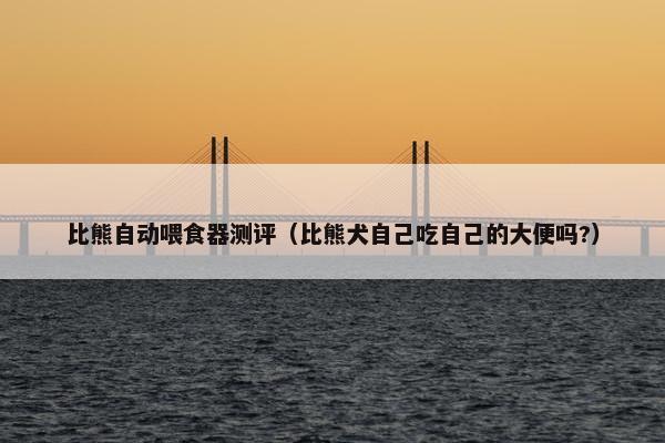 比熊自动喂食器测评（比熊犬自己吃自己的大便吗?）