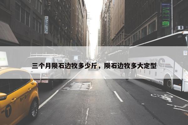 三个月陨石边牧多少斤，陨石边牧多大定型