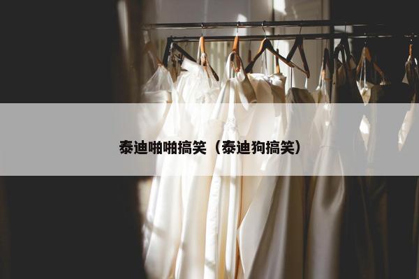 泰迪啪啪搞笑（泰迪狗搞笑）