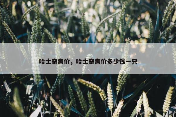 哈士奇售价，哈士奇售价多少钱一只