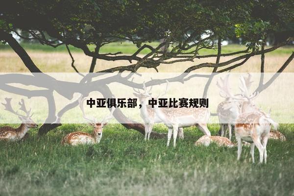 中亚俱乐部，中亚比赛规则