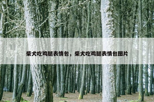 柴犬吃鸡腿表情包，柴犬吃鸡腿表情包图片